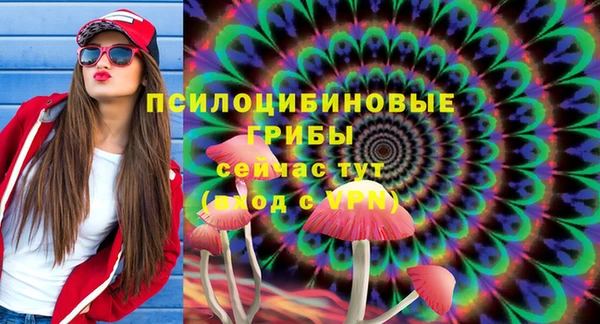 прущая мука Вязники